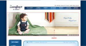 關于市場出現(xiàn)仿冒小丹佛爾產(chǎn)品及網(wǎng)站制作的嚴正聲明